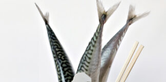 Something fishy in the bond market Pacific Andes Resources' RMB-denominated bonds