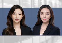 Criminal tactics for PE post-investment control PE post-investment risks