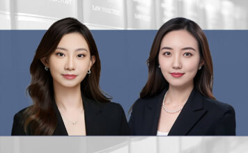 Criminal tactics for PE post-investment control PE post-investment risks