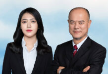 Cross-border debt recovery: Lessons from a guarantee dispute