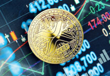 Madras HC comes to aid of Indian crypto investors Madras High Court Cryptocurrency Ruling