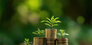 Fangda advises on first 500m compliant carbon coins issuance Carbon Coin Issuance