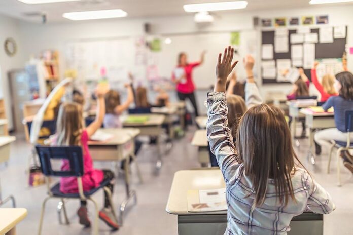 Bright Scholar Education privatisation