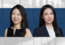 Micro-drama investment disputes and countermeasures China's micro-drama investment disputes