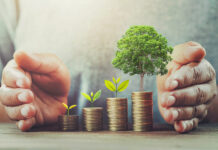 Turnover can shape environmental compensation: Supreme Court Environmental Compensation Scale of Operations