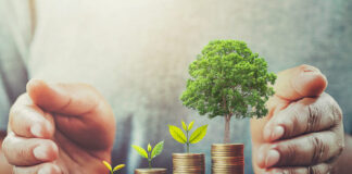 Turnover can shape environmental compensation: Supreme Court Environmental Compensation Scale of Operations