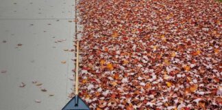 Clearing the way Major bankruptcy law revision