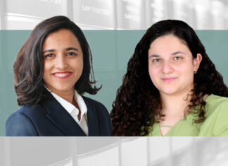 网络自由与监管的另一重冲突 Deceptive Domain Names