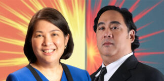 菲律宾可再生能源改革与外商投资机遇 Philippines Renewable Energy Market