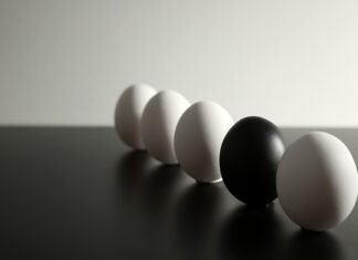Cracking the bad eggs Indonesia Criminal Code Reform Corporate Liability