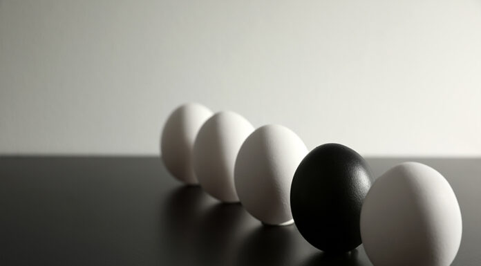 Cracking the bad eggs Indonesia Criminal Code Reform Corporate Liability