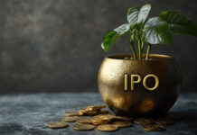 Firms help Clean Max Enviro Energy raise USD500m in IPO CleanMax IPO