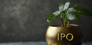 Firms help Clean Max Enviro Energy raise USD500m in IPO CleanMax IPO