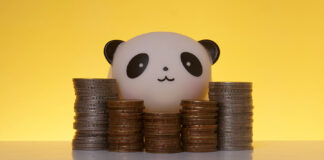 Boom in panda bond issuances set to flourish, say lawyers Boom in panda bond issuances