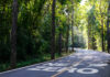 Chasing zero Japan Taiwan Green Transition Strategies