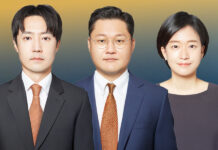 What Korea’s celebrity tax cases reveal about one-person corporations South Korea One-Person Corporations