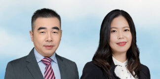 Recovery and liability for losses arising from uncollected cargo