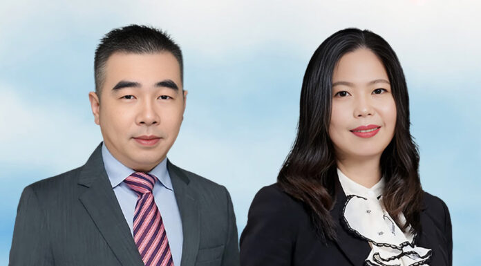 Recovery and liability for losses arising from uncollected cargo
