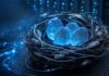 Guarding the nest eggs Insurance Cybersecurity Data Protection