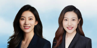 Agile shareholding structures, compliance to drive AI globalisation AI global expansion confronts hurdles