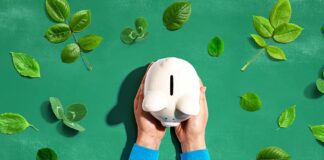 China finance ministry issues RMB6bn sovereign green bonds China finance ministry sovereign green bonds
