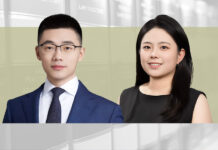 How can minority shareholders seek relief from profit hoarding?