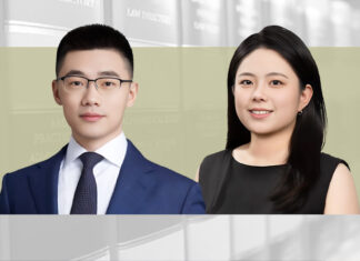 How can minority shareholders seek relief from profit hoarding?