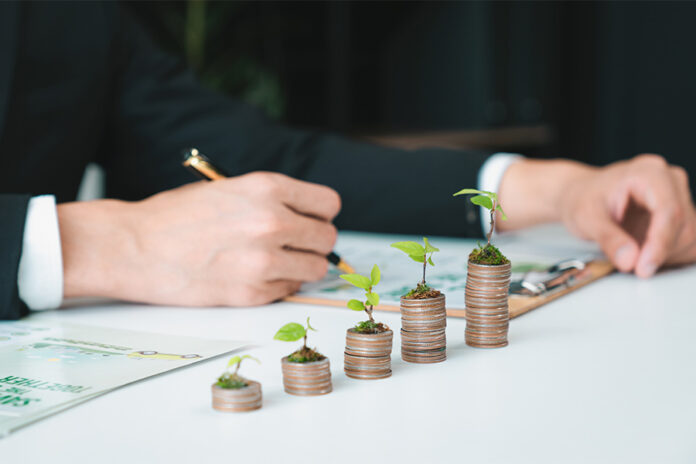 New-CSR-instrument-exempts-companies-from-impact-assessment Zero Coupon CSR Instruments