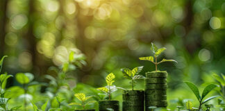 CAM, SAM, and Trilegal act on TPG’s USD467m AIFL acquisition AIFL acquisition by TPG consortium