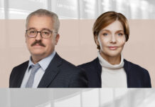Why Russian subsidiaries foot the bill Russian Subsidiary Liability