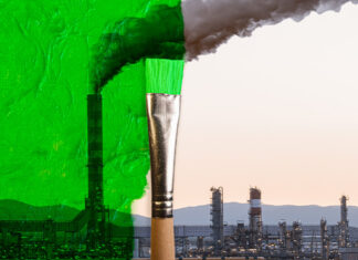 Green: Seen it or mean it? Navigating phased-in ESG reporting