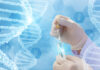 Ingenia eyes USD42m IPO as first US company listing in Korea Ingenia Therapeutics IPO