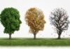 Retirement cost creep Retirement cost creep