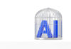 Who owns AI’s judgment? Who-owns-AIs-judgment