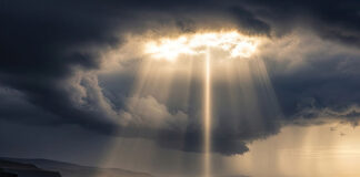 Glimmers of light 128 law firms’ revenue data