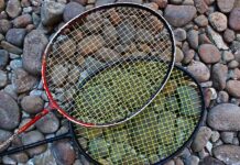 日本のヨネックス、インドの販売代理店サンライズ・スポーツの50%を取得 Yonex Sunrise Sports Acquisition